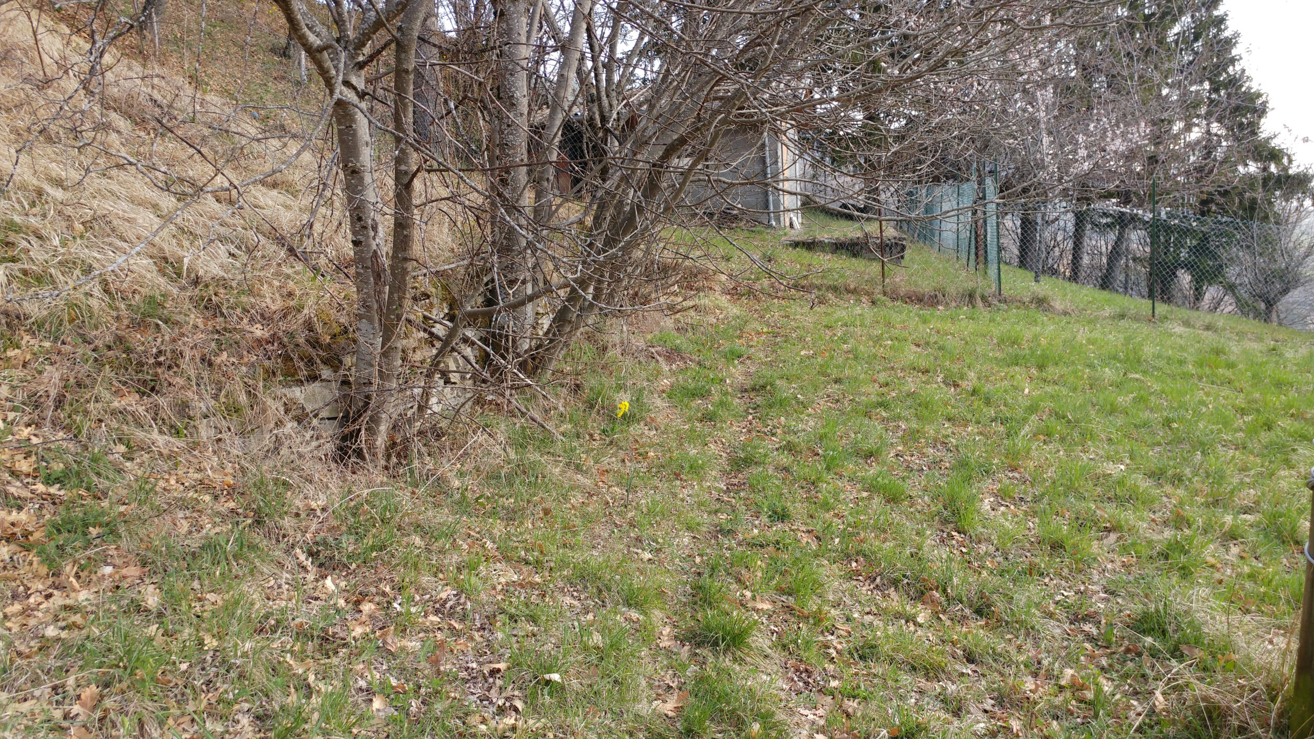 20170325_103807